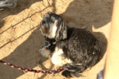 cysufbjfyz7558068505102007