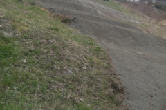 nzhvsreflo1166864706042008