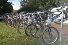 ppirbllxyn7098764205112012