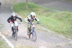 srkzintclk2452339210082008