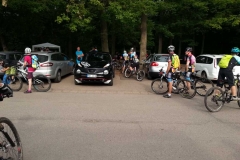 WP_20150712_033
